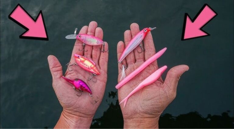 When to Use Pink Lures for Bass Fishing