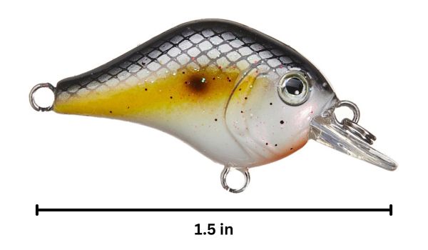 crappie crankbait shallow