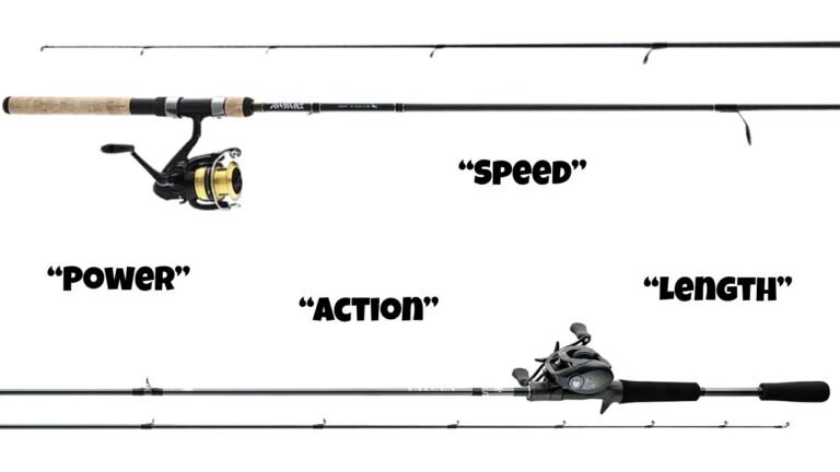 Fishing Rods Explained (VIDEO)