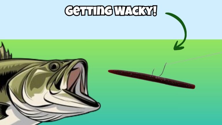 How to Fish a Wacky Rig 101 (VIDEO)