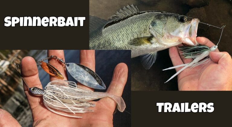Best Spinnerbait Trailers