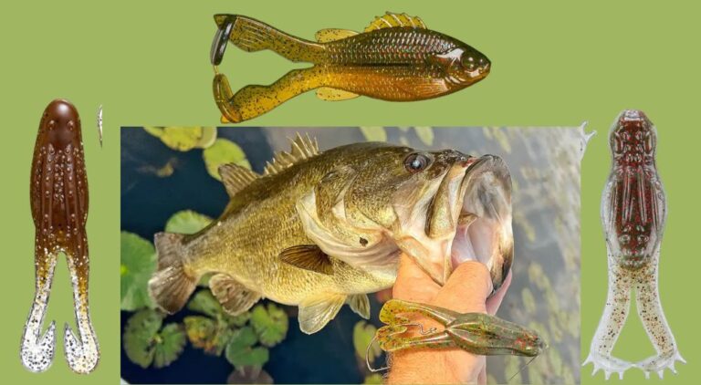 The 3 Best Buzz Frogs for Bass Fishing