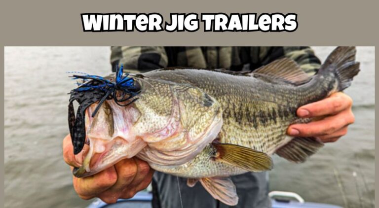 Best Jig Trailer for Winter Bass Fishing