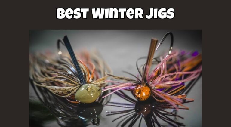 Best Jig for Winter Bass Fishing