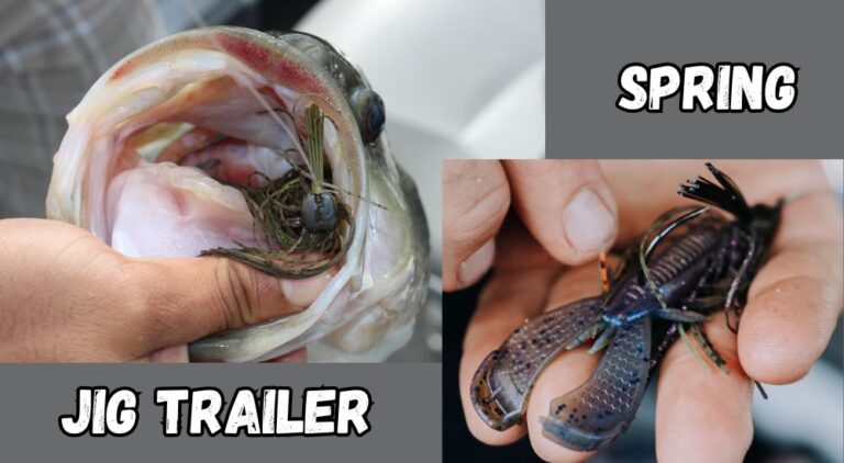 Best Jig Trailer for Spring Bass Fishing