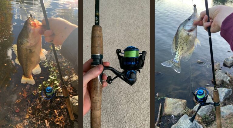 Reaction Tackle SpinStrike Spinning Reel Review