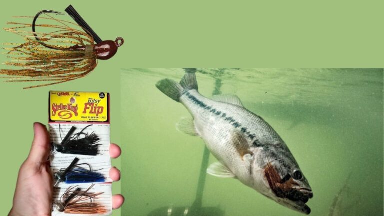 Strike King Bitsy Flip Jig Review