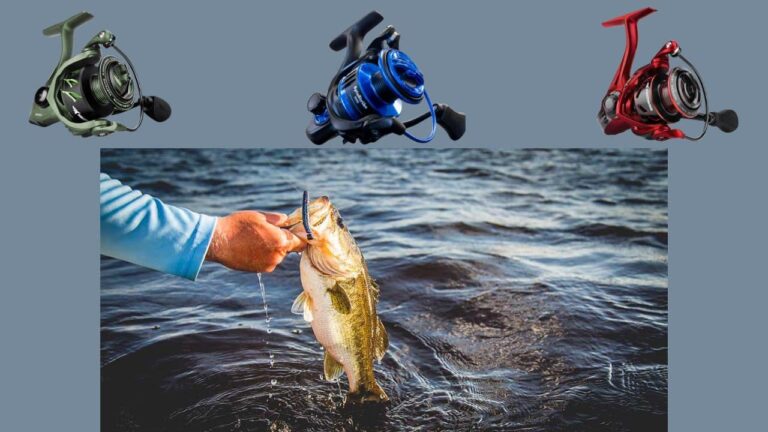 The 3 Best Spinning Reels Under $50 for 2026