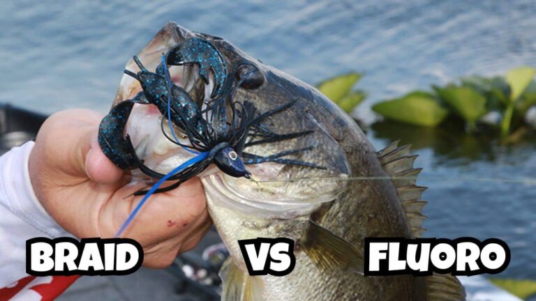 Best Line for Swim Jig Fishing