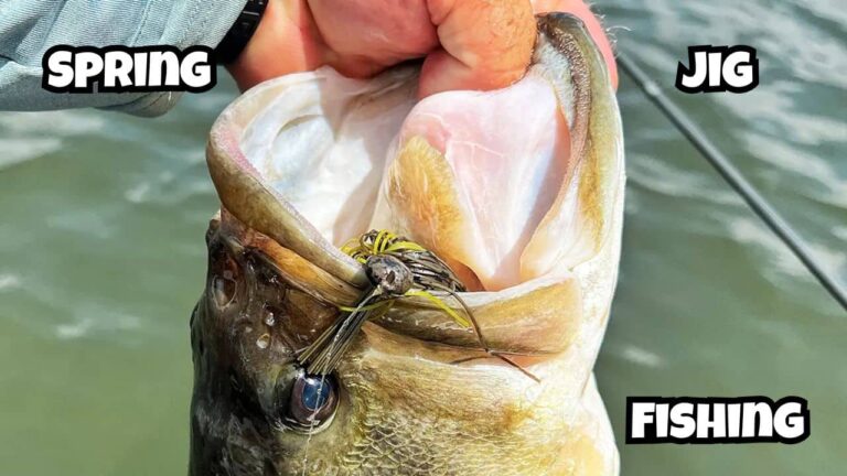 Spring Jig Fishing for Bass