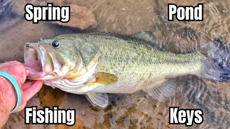 3 Keys to Spring Bass Fishing in Ponds