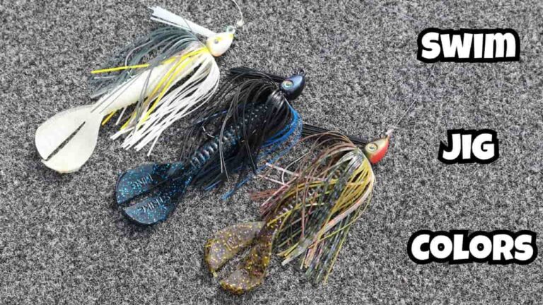 Best Swim Jig Colors for Bass Fishing