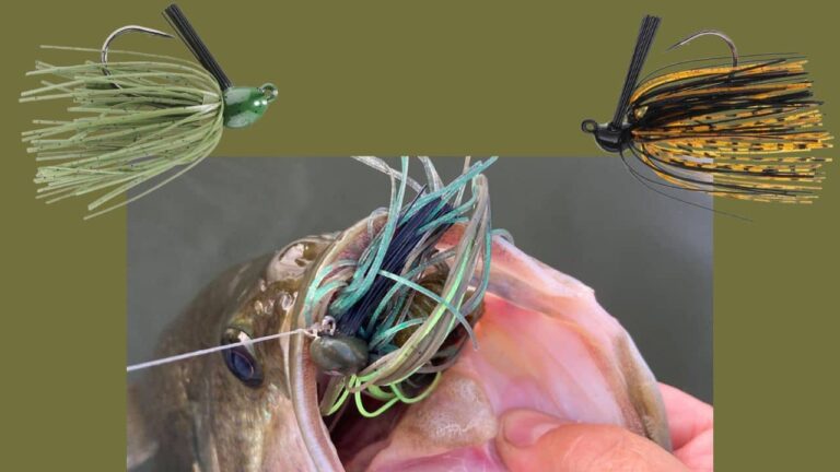 The 2 Best Cheap Bass Jigs in 2026