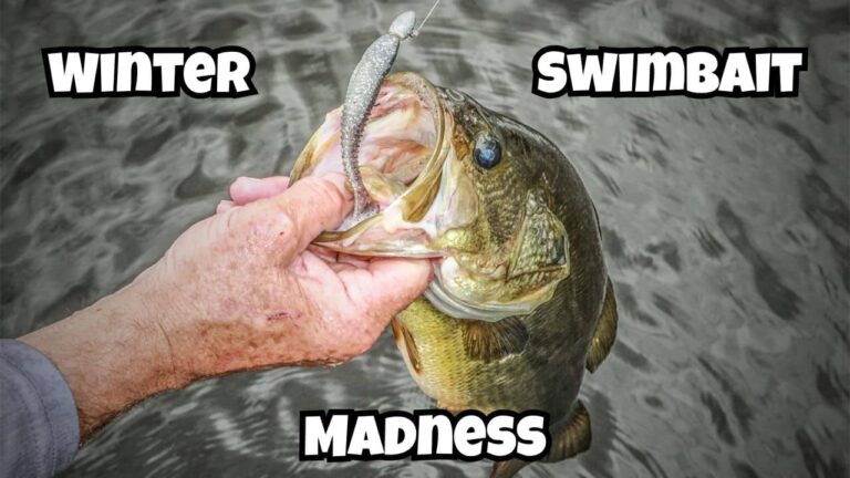 Winter Swimbait Fishing 101