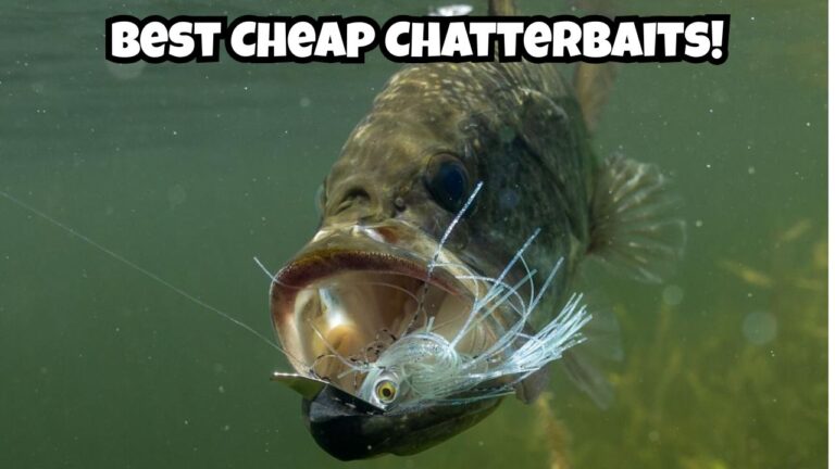 3 Best Cheap Chatterbaits for Bass Fishing