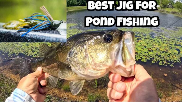 The Best Jig for Pond Fishing for Bass