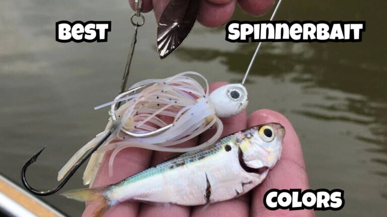 3 Best Spinnerbait Colors