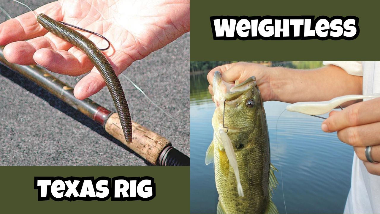How to Fish a Weightless Texas Rig