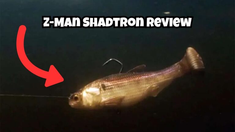 Z-Man Shadtron Review