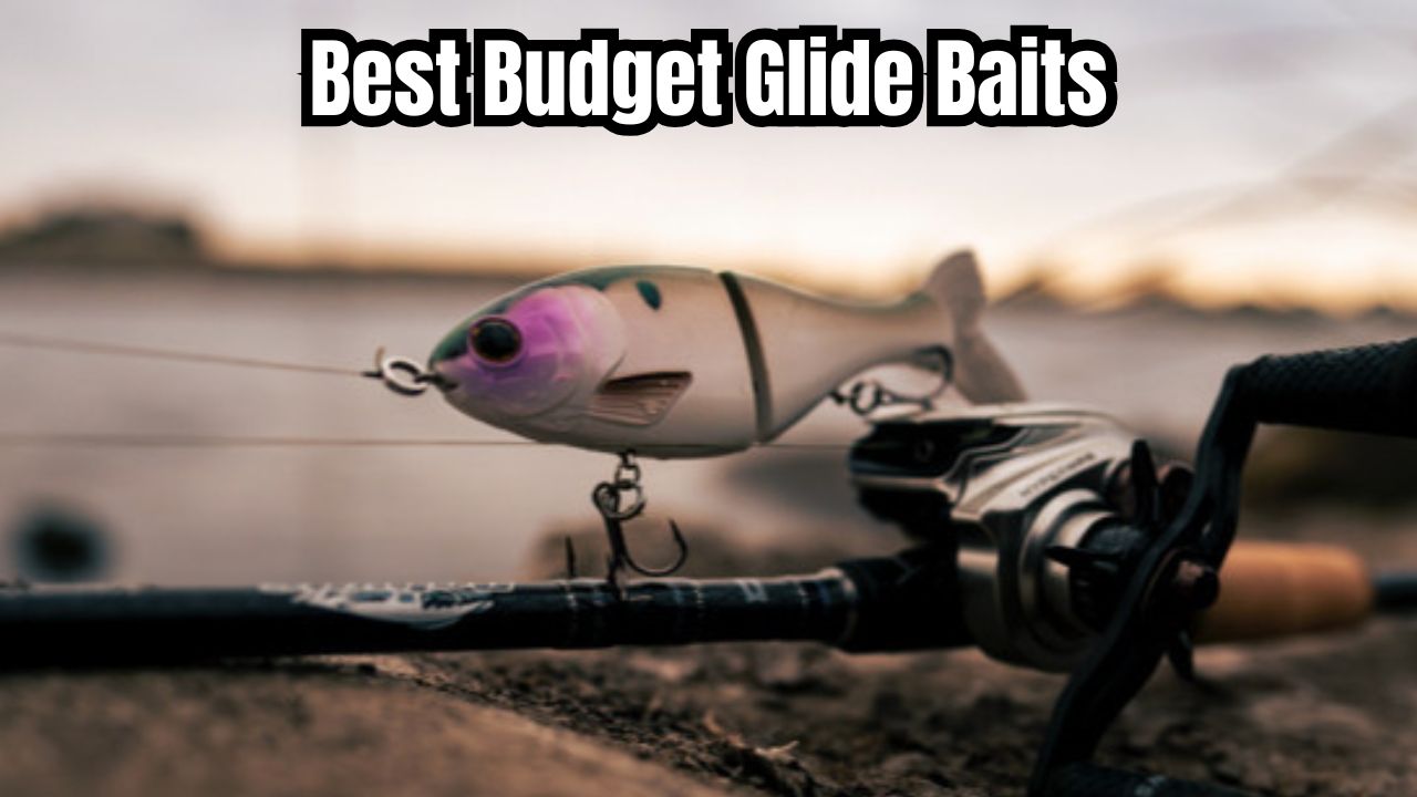 3 Best Budget Glide Baits