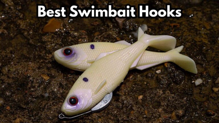 3 Best Weighted Swimbait Hooks