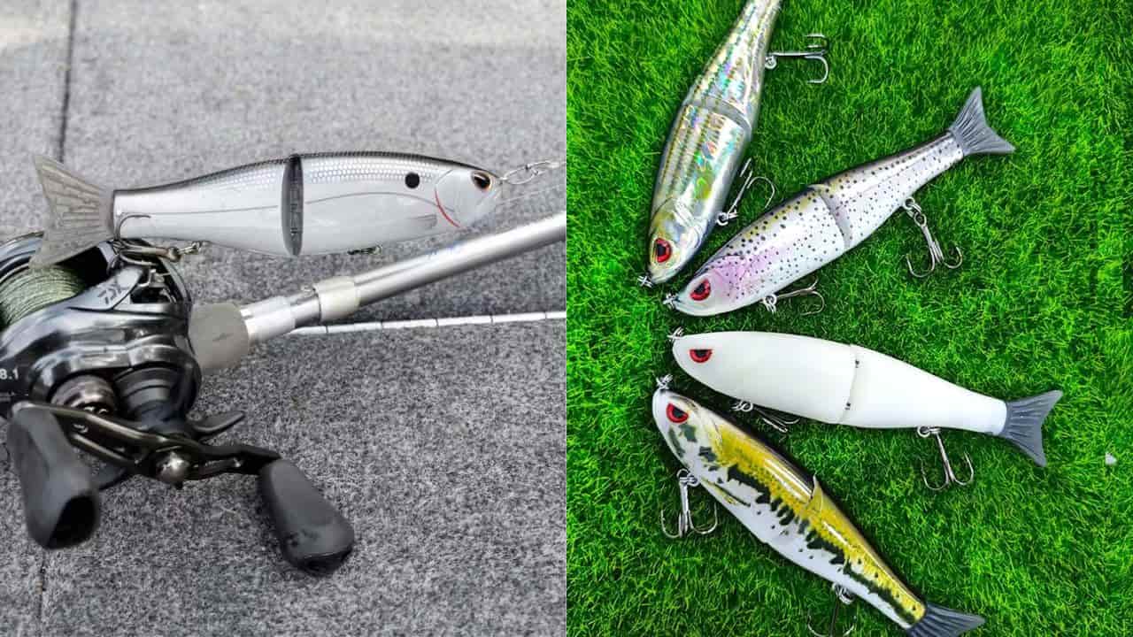 Bassdash Glide Bait Review