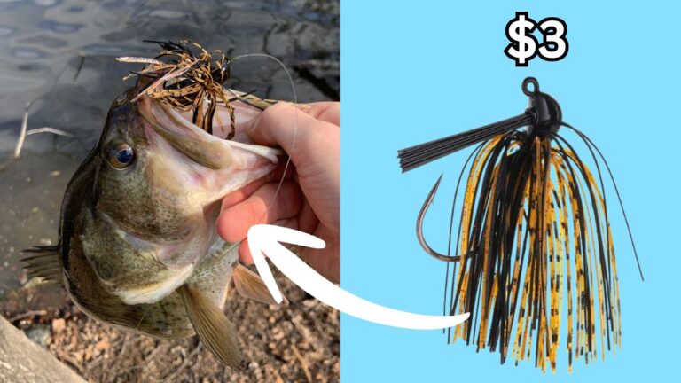 Reacting Tackle Flipping Jig and Football Jig Review (VIDEO)