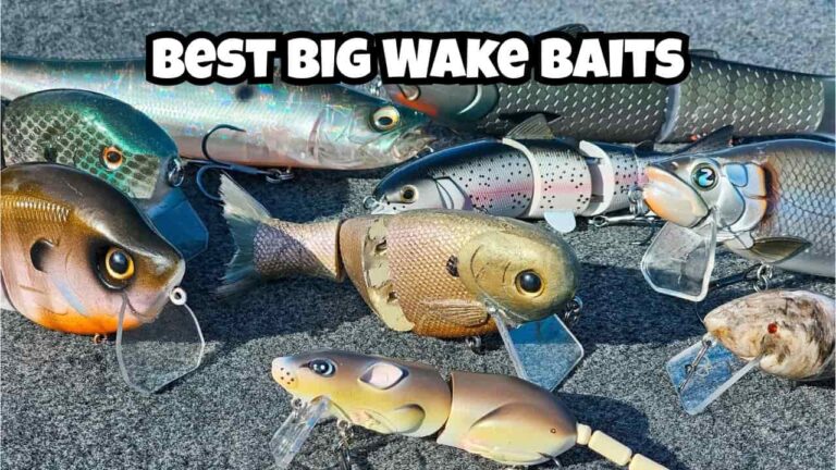 3 Best Big Wake Baits for Bass