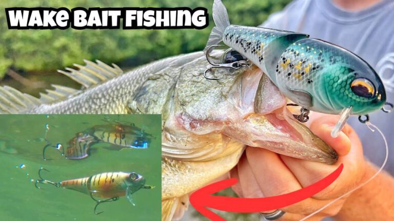 Wake Bait Fishing for Bass 101